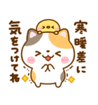 ねこねこにゃんこ♡春日和（個別スタンプ：22）