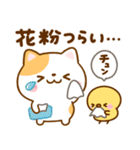 ねこねこにゃんこ♡春日和（個別スタンプ：23）