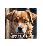 ニヤリ犬！（個別スタンプ：8）