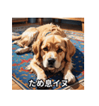 ニヤリ犬！（個別スタンプ：12）