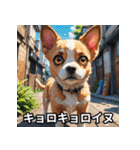 ニヤリ犬！（個別スタンプ：19）