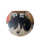 らぶちゃんスタンプ2☆（個別スタンプ：2）