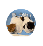 らぶちゃんスタンプ2☆（個別スタンプ：3）