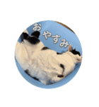 らぶちゃんスタンプ2☆（個別スタンプ：4）