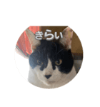 らぶちゃんスタンプ2☆（個別スタンプ：7）