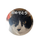 らぶちゃんスタンプ2☆（個別スタンプ：8）