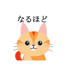 ネコちゃんず！（個別スタンプ：11）
