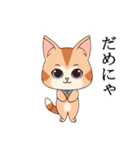 ネコちゃんず！（個別スタンプ：19）
