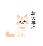 ネコちゃんず！（個別スタンプ：34）
