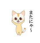 ネコちゃんず！（個別スタンプ：36）
