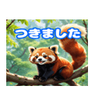 毎日使えるレッサーパンダの挨拶スタンプ2（個別スタンプ：39）