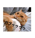 ちゃー吉(追加版)（個別スタンプ：3）