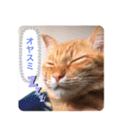 ちゃー吉(追加版)（個別スタンプ：12）