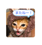 ちゃー吉(追加版)（個別スタンプ：13）
