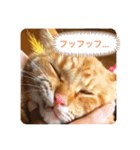 ちゃー吉(追加版)（個別スタンプ：18）