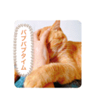 ちゃー吉(追加版)（個別スタンプ：20）