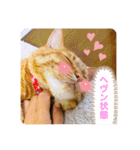 ちゃー吉(追加版)（個別スタンプ：22）