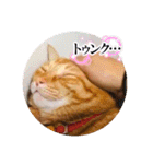 ちゃー吉(追加版)（個別スタンプ：23）