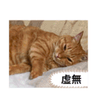 ちゃー吉(追加版)（個別スタンプ：35）