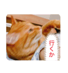 ちゃー吉(追加版)（個別スタンプ：39）