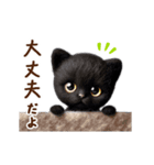 動く♡フェルト猫の家族連絡(黒猫)（個別スタンプ：5）