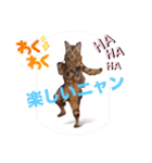 フィガロ＆チロル（個別スタンプ：7）