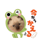 フィガロ＆チロル（個別スタンプ：18）