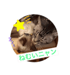 フィガロ＆チロル（個別スタンプ：21）