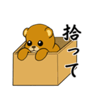 孤独なグリズリーベア（個別スタンプ：3）