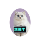 只今、取込中  ver1.2（個別スタンプ：3）