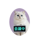 只今、取込中  ver1.2（個別スタンプ：4）