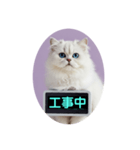 只今、取込中  ver1.2（個別スタンプ：5）