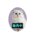 只今、取込中  ver1.2（個別スタンプ：6）