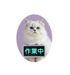 只今、取込中  ver1.2（個別スタンプ：8）