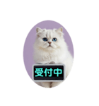 只今、取込中  ver1.2（個別スタンプ：9）