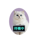 只今、取込中  ver1.2（個別スタンプ：10）