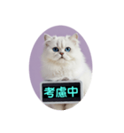 只今、取込中  ver1.2（個別スタンプ：11）