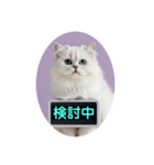 只今、取込中  ver1.2（個別スタンプ：12）