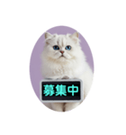 只今、取込中  ver1.2（個別スタンプ：13）