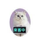 只今、取込中  ver1.2（個別スタンプ：14）