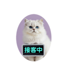 只今、取込中  ver1.2（個別スタンプ：15）
