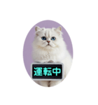 只今、取込中  ver1.2（個別スタンプ：16）