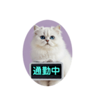 只今、取込中  ver1.2（個別スタンプ：19）