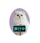 只今、取込中  ver1.2（個別スタンプ：23）