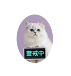 只今、取込中  ver1.2（個別スタンプ：26）