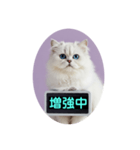只今、取込中  ver1.2（個別スタンプ：27）