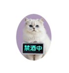 只今、取込中  ver1.2（個別スタンプ：30）