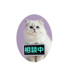 只今、取込中  ver1.2（個別スタンプ：32）