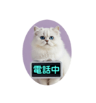 只今、取込中  ver1.2（個別スタンプ：33）