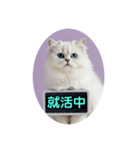 只今、取込中  ver1.2（個別スタンプ：35）